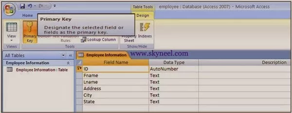 Ms-Access-Data-Types-Window Ms-Access-Primary-Key-Window