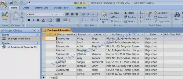 Ms Access Table Creation Ms-Access-Records-Window