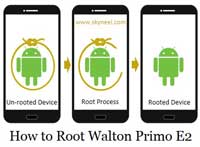 Root-Walton-Primo-E2 