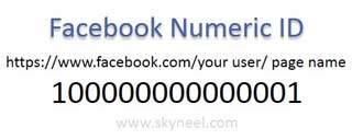 Facebook-Numeric-ID