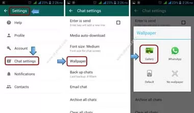 whatsapp chat whatsapp chat