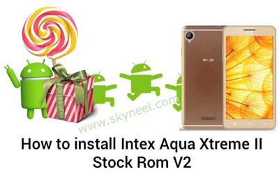 intex lollipop