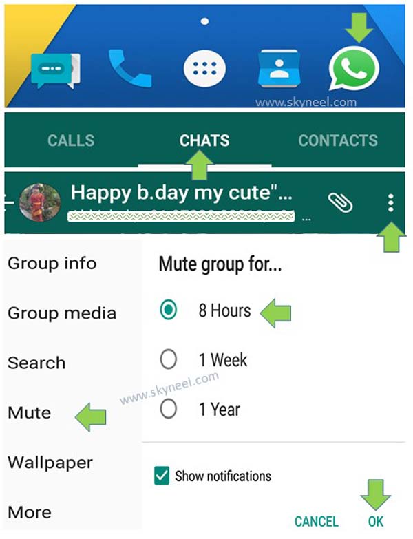 How to mute group chat notification on WhatsApp