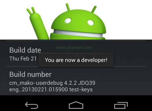 How to enable or disable developer option in Android phone