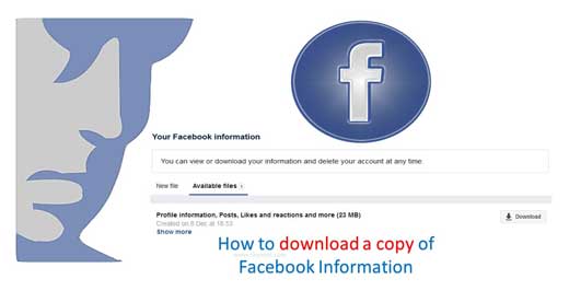 facebook download your information