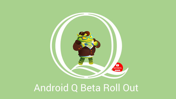 Android Q Beta roll out