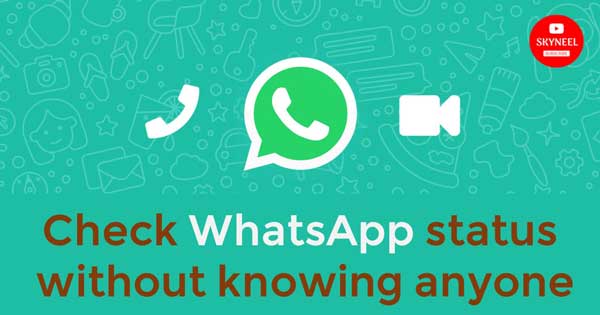check WhatsApp status without knowing anyone