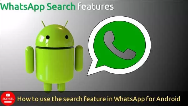 WhatsApp-Search-Feature WhatsApp-Search-Feature