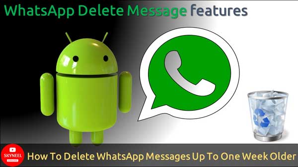 Delete WhatsApp Messages