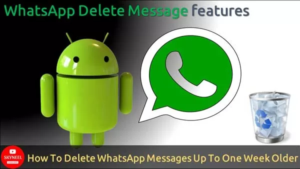 Delete WhatsApp Messages