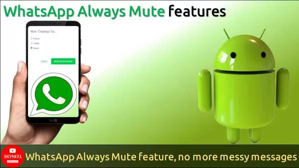 WhatsApp Always Mute feature WhatsApp Always Mute feature