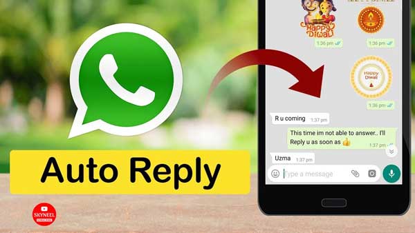 whatsapp auto reply feature